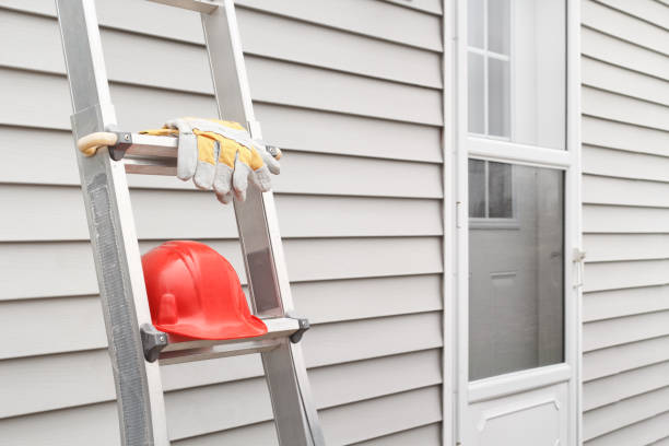 Best Custom Siding Design  in Urania, LA
