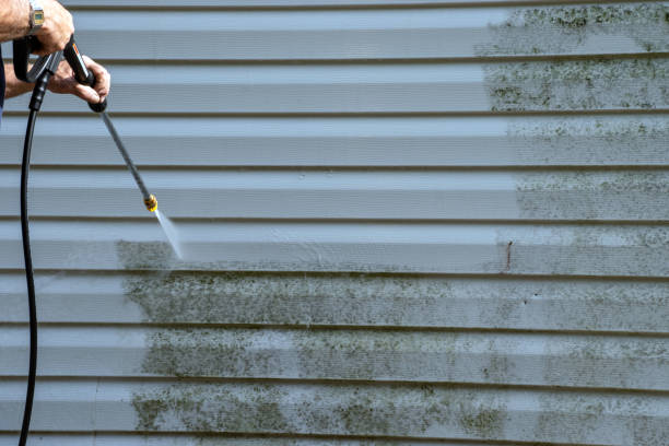 Best Wood Siding Installation  in Urania, LA